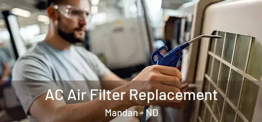  AC Air Filter Replacement Mandan - ND