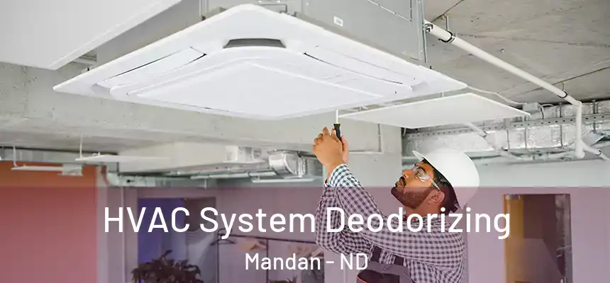  HVAC System Deodorizing Mandan - ND