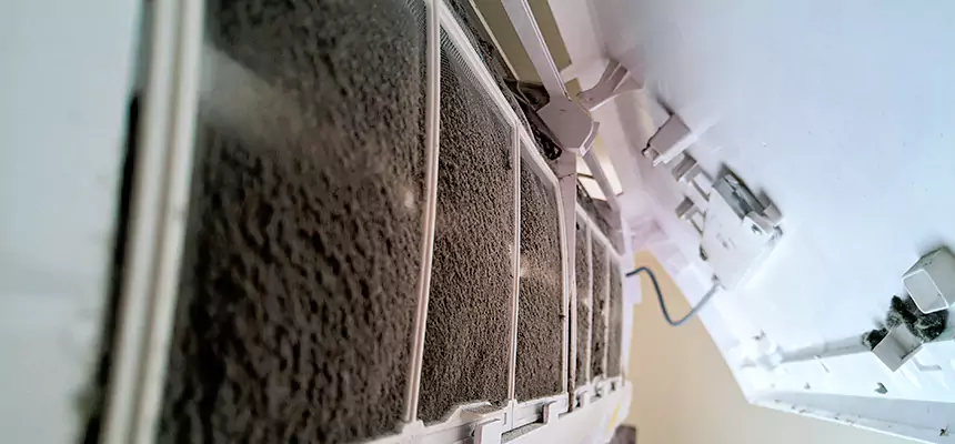 Preventive Air Duct Bacteria Removal in Mandan