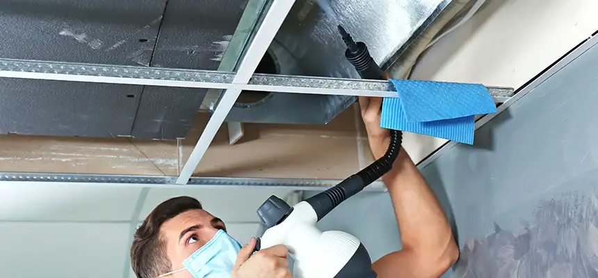 Our Air Duct Rodent Removal Services in Mandan, ND