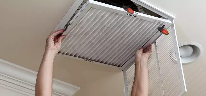 Our Insect Removal from Air Ducts Services in Mandan, ND