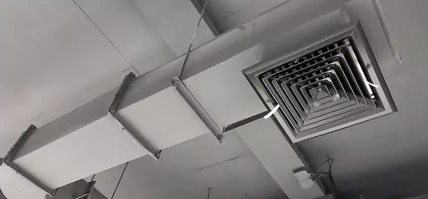 Our Pest Removal From Ducts Services in Mandan, ND