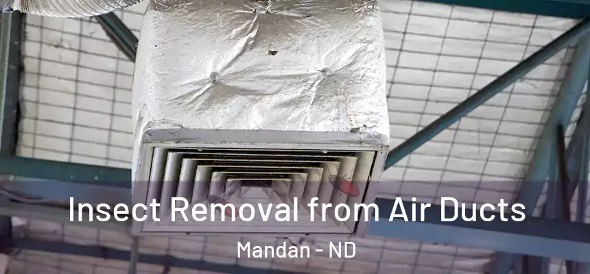  Insect Removal from Air Ducts Mandan - ND
