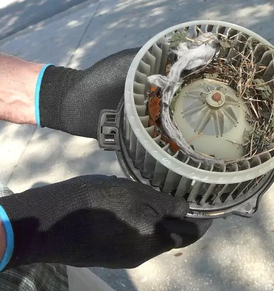 About Air Duct Mice Removal in Mandan, ND