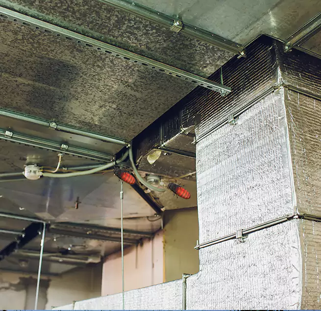 Why Homeowners & Businesses Trust Us in Mandan, ND?