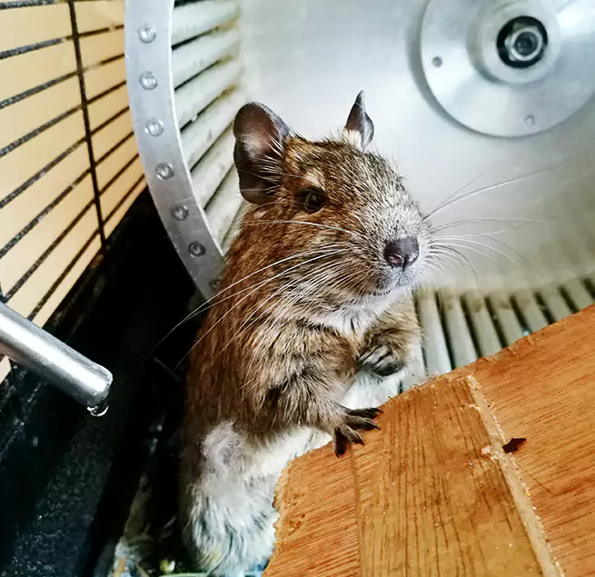 Why Homeowners & Businesses Trust Us Mandan, ND?