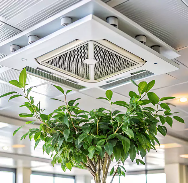 Why Homeowners & Businesses Trust Us in Mandan, ND?